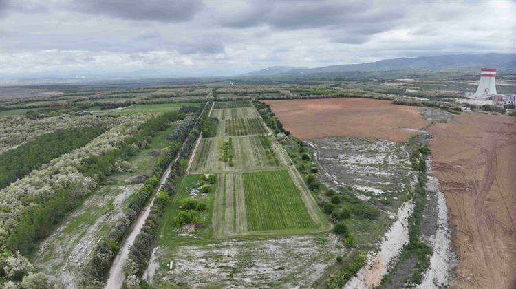 ΔΕΗ: Ιδρυτικό Μέλος στη Διεθνή Πρωτοβουλία «Συμμαχία  για τη Βιώσιμη Διαχείριση της Βιοποικιλότητας»